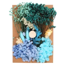 Pressed Flowers Bulk Dried Flowers Natural Pressed Flowers Leaves Blue