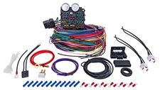 JEGS 10419 Universal Wiring Harness 12-Circuit High-Quality Prelabeled Wires for