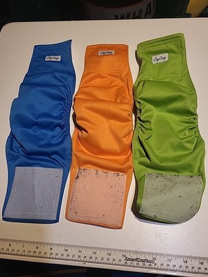 3 Medium Joy Daog Reusable Dog Diapers