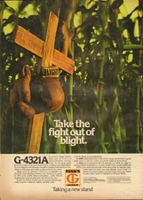 1975 XLARGE Print Ad of Funk's G Hybrid Corn Seed take the fight out of blight