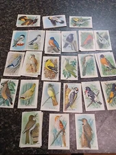 Arm & Hammer Cow Brand Baking Soda Useful Birds of America Cards 37 9th 10th