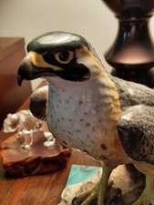 Super COOL PORCELAIN Highly Detailed OCEAN EA...
