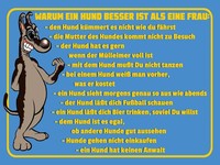 Holzschild 30X40 Cm Warum Hund Besser Ist Als Frau Deko Geschenk Holz Schild
