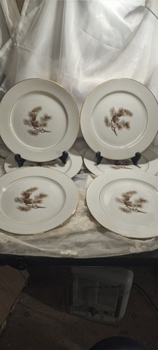 Kyoto Pinienzapfen Speiseteller 8045 Goldrand - 10 Zoll - 6er Set