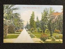 Redlands California CA 1910 Olive Avenue House Antique Postcard Photo