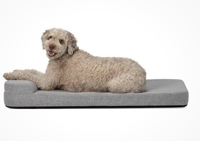 Diggs Bolstr Orthopedic Dog Bed with Headrest FOR Dog Crate Evolv SMALL 
