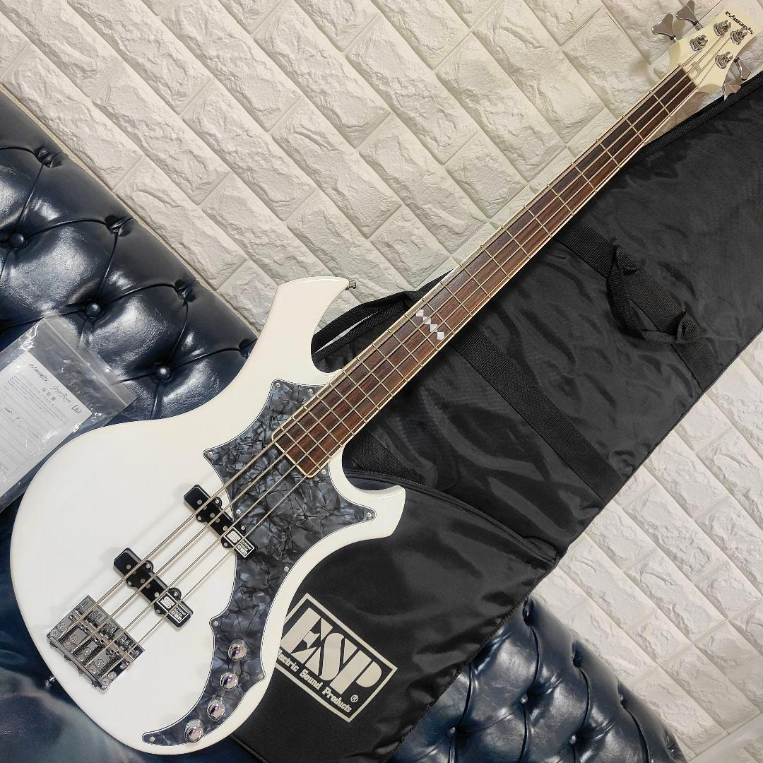 EDWARDS E-RF-137SL the GazettE REITA Model Electric Bass Guitar | eBay