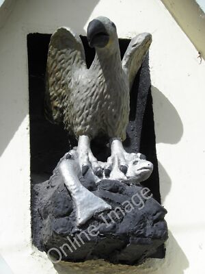 Foto 12x8 Adler mit Beute, Charlemont He's sieht zufrieden mit ihm aus c2011