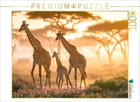 Calvendo Puzzle Reaching New Heights Together | 1000 Pieces, Finished Size 25.2