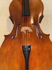 Snow SC200 Cello
