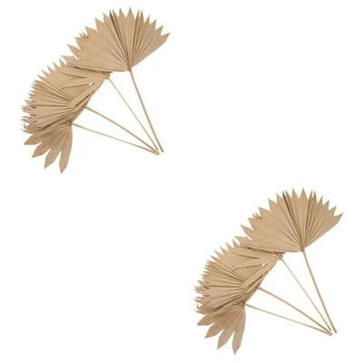 Abanico de hojas de palma seca beige natural decoración de boda adorno de pared reutilizable - Imagen 1 de 4