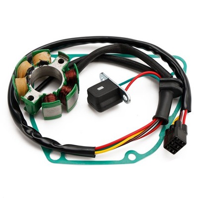 Lichtmaschine Stator, Zündungsdeckeldichtung für Suzuki RM-Z 250 Bj 2007-2009