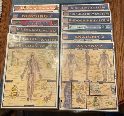 12 QuickStudy Laminated Ref Guides (QuickStudy Academic) Nursing, Anatomical sys