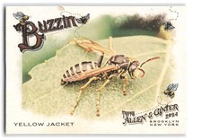 Yellow Jacket 2024 Topps Allen & Ginter Baseball #BUZ-13 Buzzin'