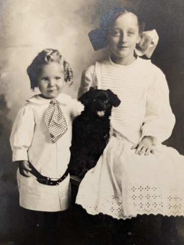 Early 1910s RPPC Dog & Children ~ AZO Stamp Box ~ Unposted - Picture 2 of 3