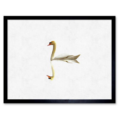 Einfache Schwan Reflexion Wandkunstdruck gerahmt 12x16
