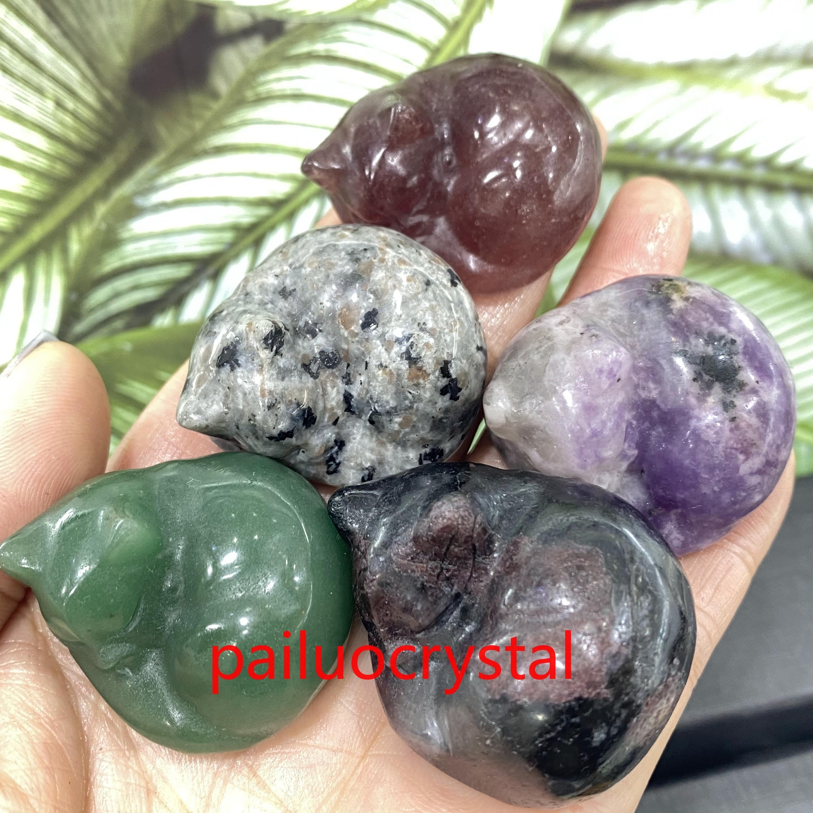 5pcs Natural Mixed Cat Skull Quartz Crystal Skull Carved Figurines Healing 1.5