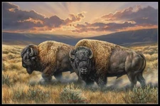 Dusty Plains Bison - Counted Cross Stitch Patterns - Color & BW Symbols Charts 