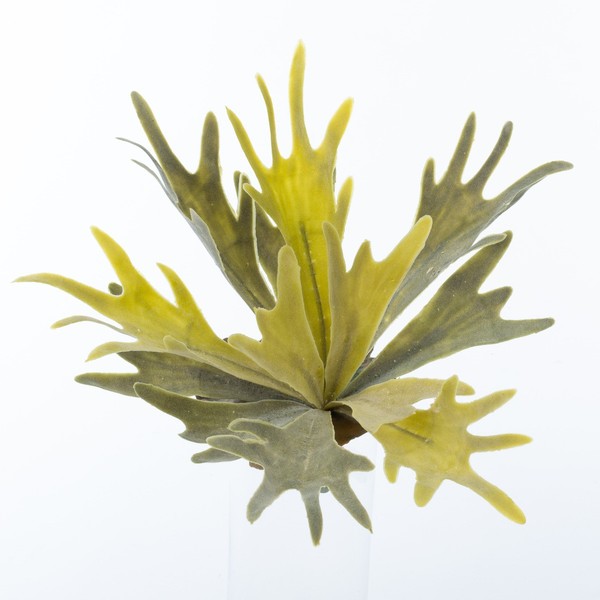 Artplants Plastik Geweihfarn Figaro Auf Steckstab, GrüN-Grau, 35Cm, Ø30Cm-image
