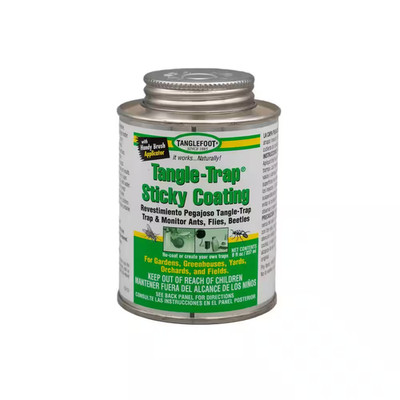 Tangle-Trap Sticky Coating 8 Oz. Brush-Top-Trap and Monitor Ants, Flies, and Bee