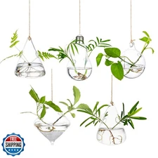 Glasseam Hanging Planters Glass Terrarium: 5Pcs Modern Plant Prop