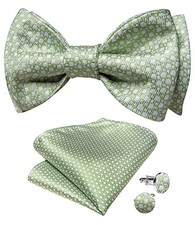 Men Bow Tie Paisley Striped Self-Bow Tie for Men and Silk Woven Sage Green