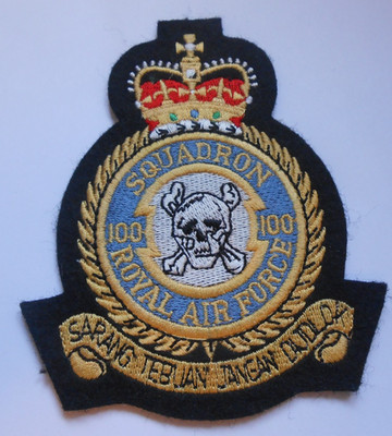 100 RAF SQUADRON ROYAL AIR FORCE Wappen Stoff Patch