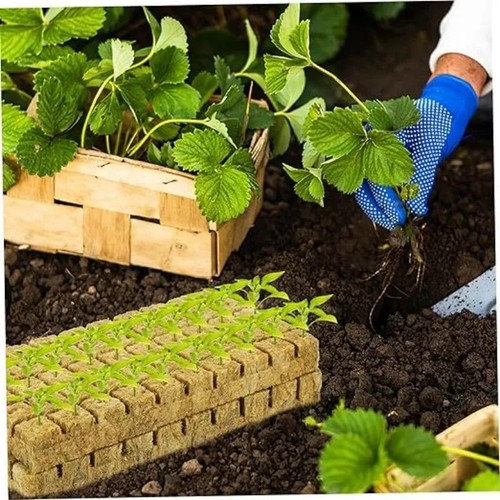 Rock Wool Grow Cubes Seed Starter Plugs Hydroponic Planting Blocks Kit - Picture 14 of 26