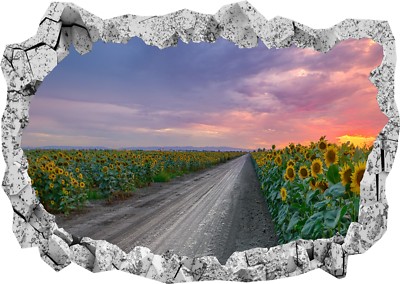  Sonnenblumenstraße lila Sonnenuntergang 3D zerschlagen Wand Ansicht Aufkleber Poster Kunst 1070