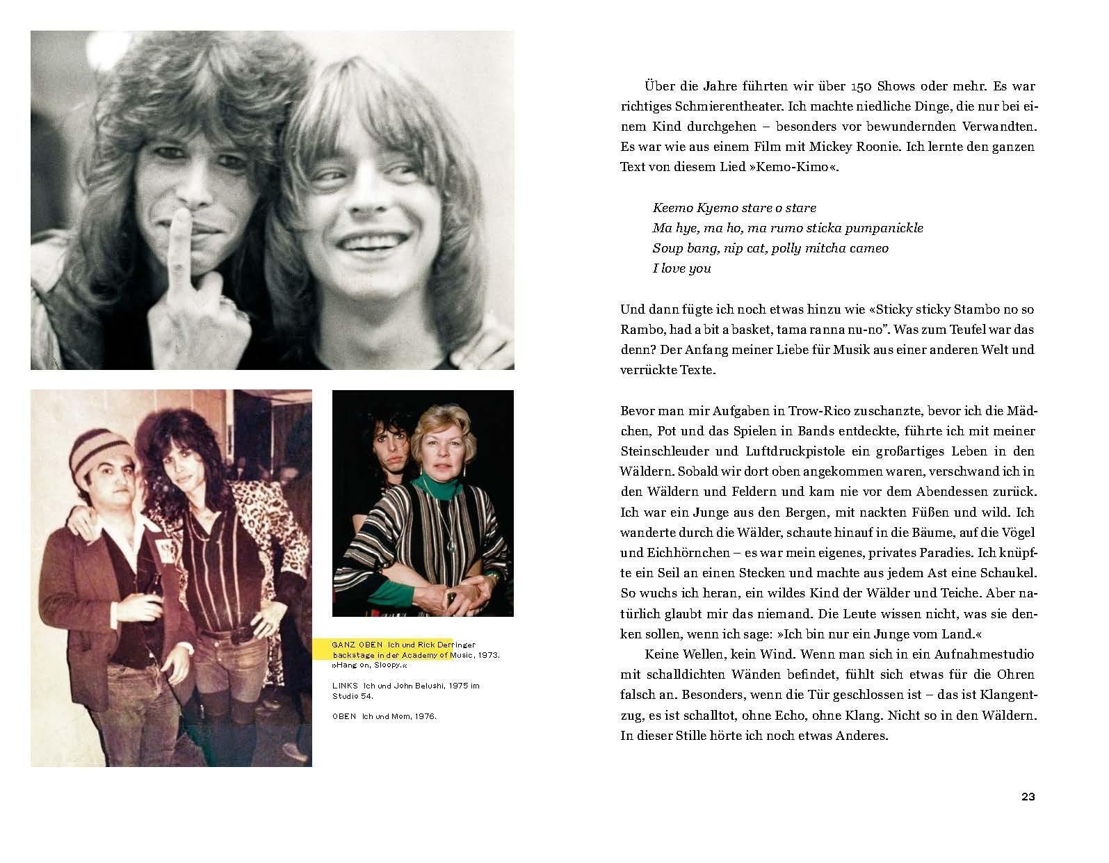 Thumbnail - Steven Tyler - Does The Noise In My Head Bother You David Dalton
