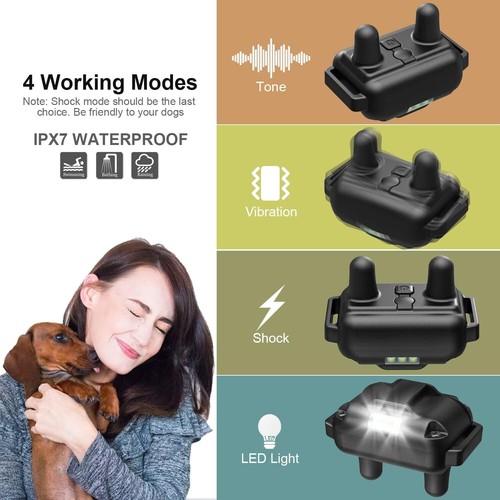 Long-Range Remote Dog Training Collar for 2 Dogs - Comprehensive Training Kit - Picture 4 of 8