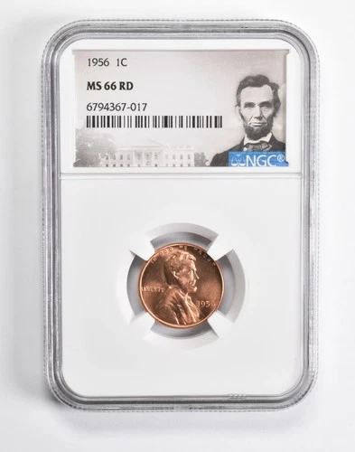 MS66 RD 1956 Lincoln Wheat Cent Penny NGC Special Lbl *0994