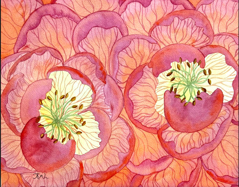 PAINTING WATERCOLOR 11X14 WHITE MAT 16X20 FLOWER PEONY PINK ORANGE ORIGINAL ART