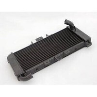 Yamaha FZS 600 Fazer -98/03- HeizköRper Wasser - RA3263