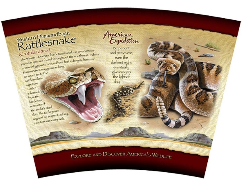 RATTLESNAKE--24 oz. Vaso de acrílico aislado de doble pared/American Expedition Foto 2 de 4