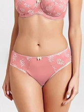 Panache Tango Brief 9073 Mid Rise Knickers UK Size 18  USA XXL Rose Ombre   (s5)