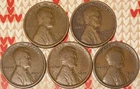 1909-P 1909-VDB   1913-D 1915-P&D  VG-VF  LINCOLN CENTS  FAST SECURE SHIPPING!