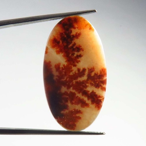 Natural Shazar Dendrite Gemstone 29x16mm Smooth Oval Scenic Agate Cabochon SA-80 - Picture 4 of 11