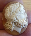 VINTAGE  CARVED CAMEO SHELL PLAQUE