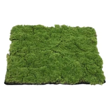 Fake Moss Grass Rug: 19.65X19.65" Simulation Moss Mat for Micro Landscape