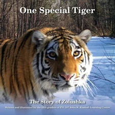 One Special Tiger: The Story of Zol..., The Fifth Grade