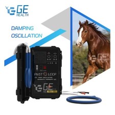 PMST Loop pemf Magnetic Therapy For Vet Horse Disease Rehabilitation Machine