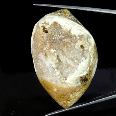 Handgemacht Fossil Snail Druzy Achat Cabochon Edelstein 160.30 Cts 30x47x21 mm