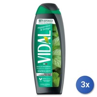 3X Vidal Duschgel 250 Ml Menta & Ginkgo Made In Italy