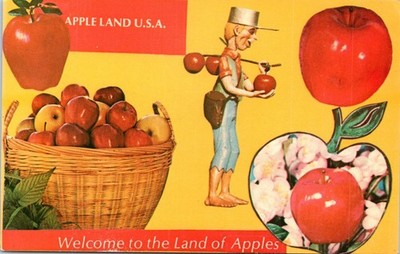 Vintage - Apple Capital of the U.S.A Quality Inn New Market VA - Postcard - P7