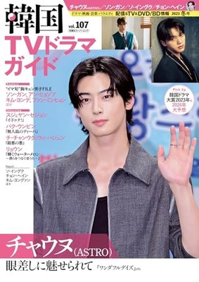 Korean TV Drama Guide  107 Cha Eun Woo Song Kang Kim Young Dae Japanese BOOK