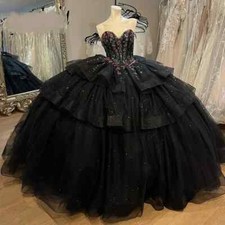 Elegant Black Princess Quinceanera Dresses Tulle Backless Ball Gown Sweet 15 16