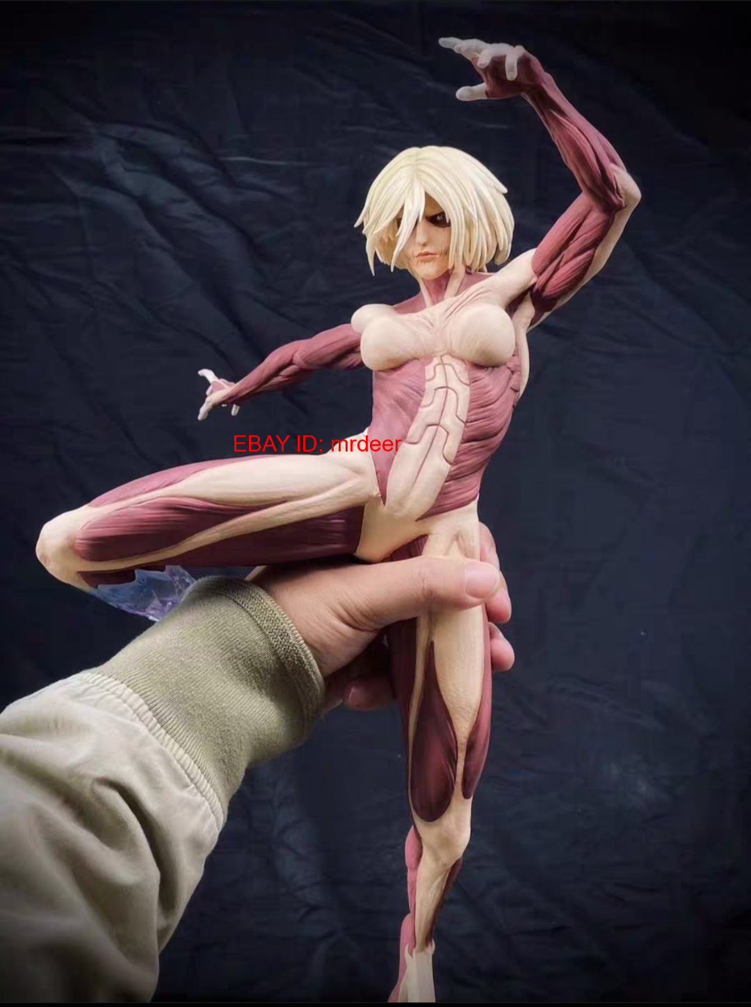 Chikara Studio Attack on Titan Annie Leonhart