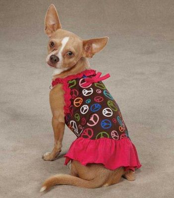 Peace Out Dog Dress East Side Collection pet blue dresses peace sign | eBay