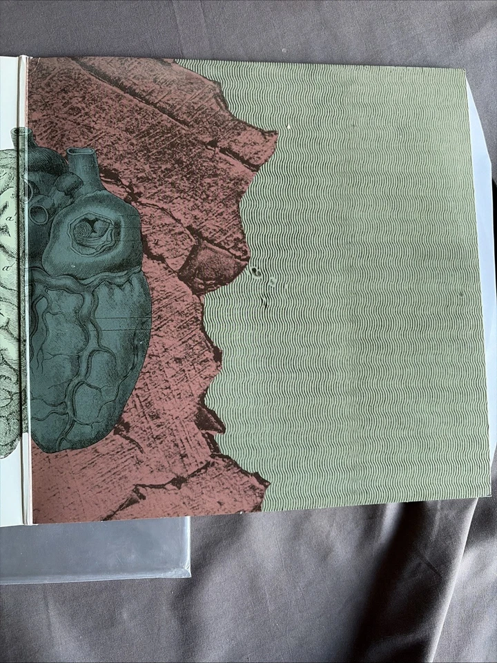 The Revivalists Men Amongst Mountains Vinyl LP 2015 NM Gatefold Wish I Knew You - Image 4 of 4